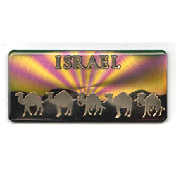 Camels Shiny Magnet