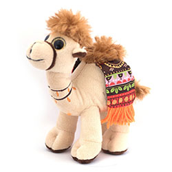 Camel with Colored Blanket