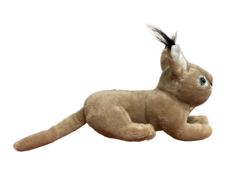 Caracal Plush - Image 4
