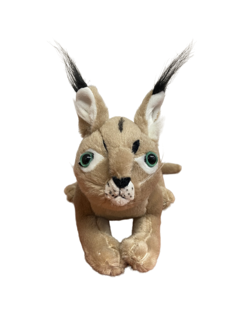 Caracal Plush - Image 2